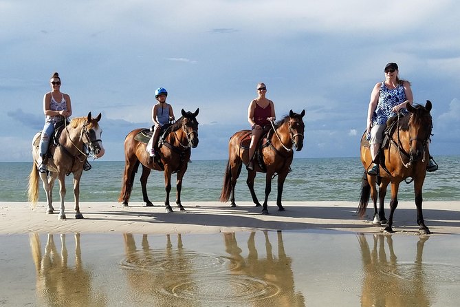 Close-up of horse on beach